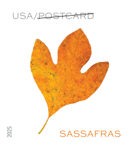 2025 Vibrant Leaves Stamps