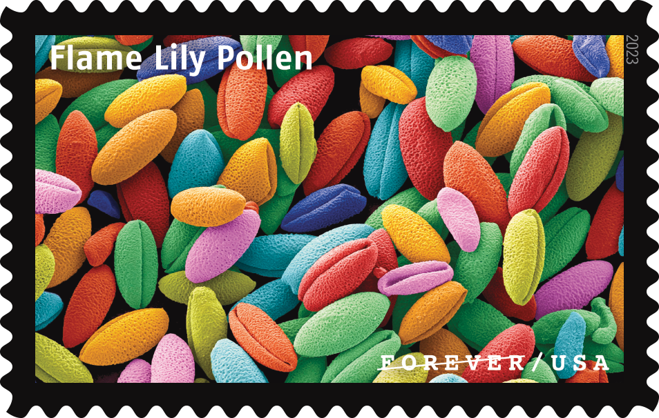 2023 Life Magnified Stamps