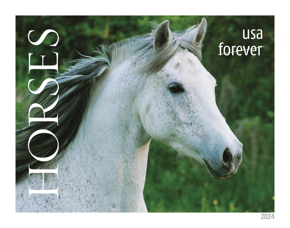 2024 Horses Stamps