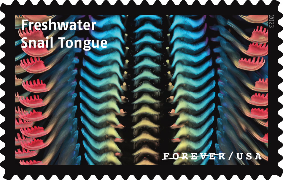 2023 Life Magnified Stamps