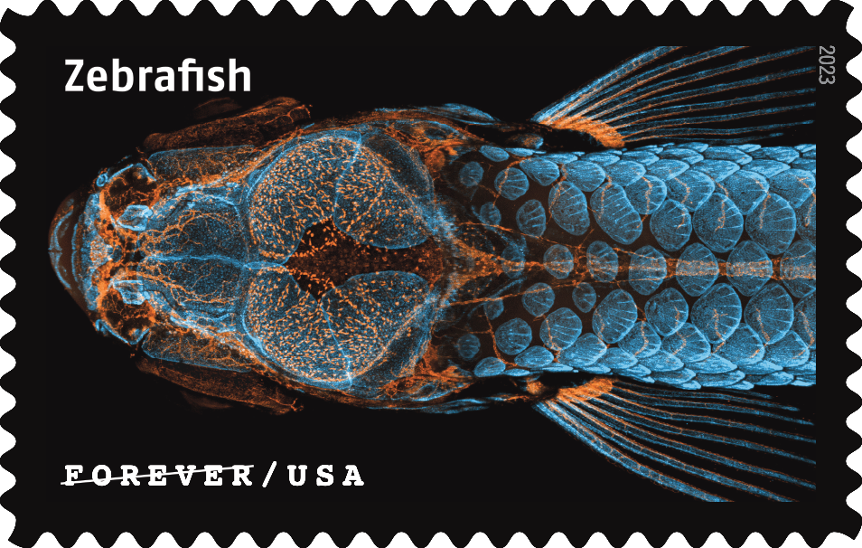 2023 Life Magnified Stamps