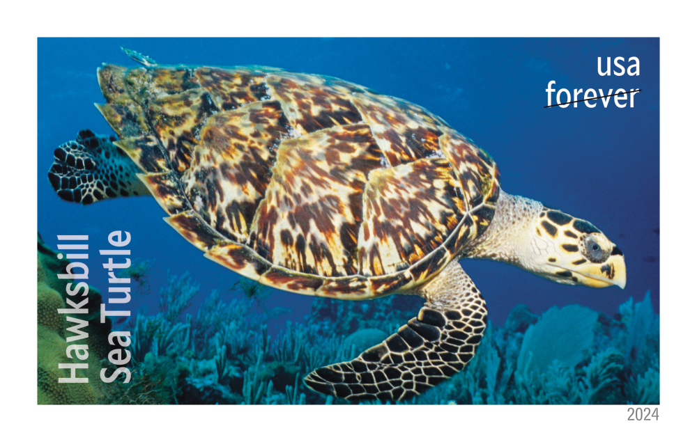 2024 Protect Sea Turtles Stamps