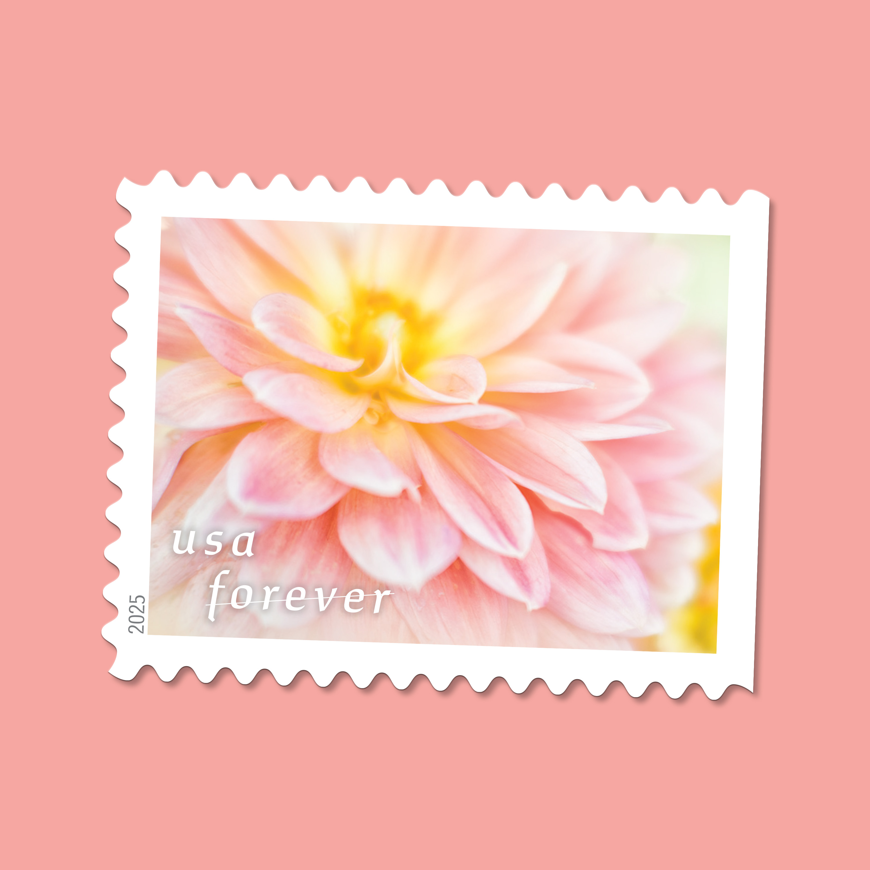 2025 Forever Stamps Dahlias Stamps
