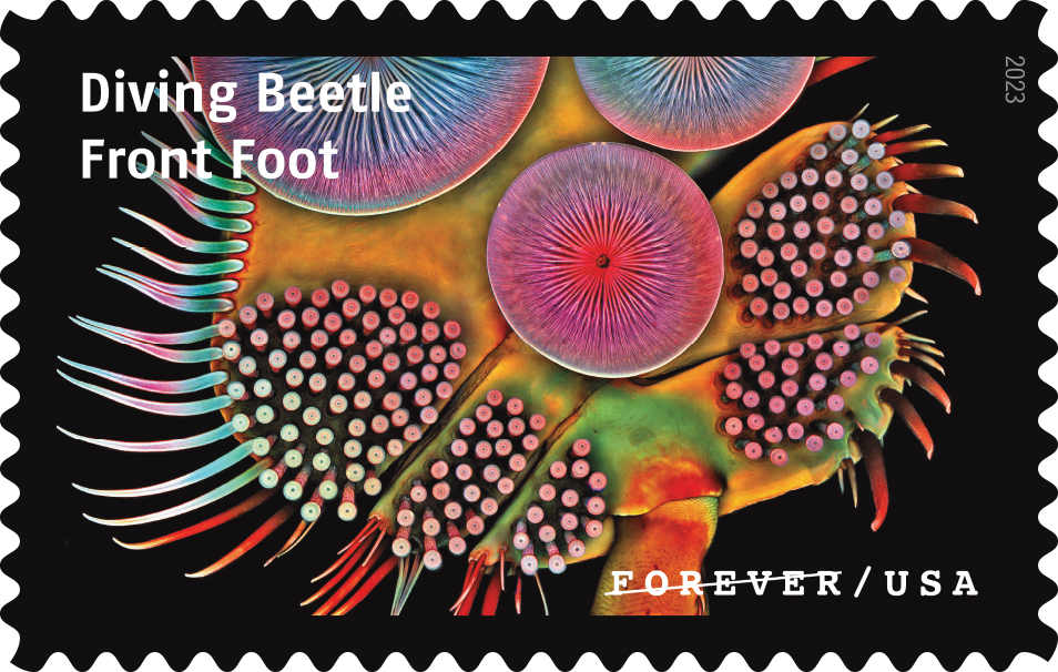 2023 Life Magnified Stamps