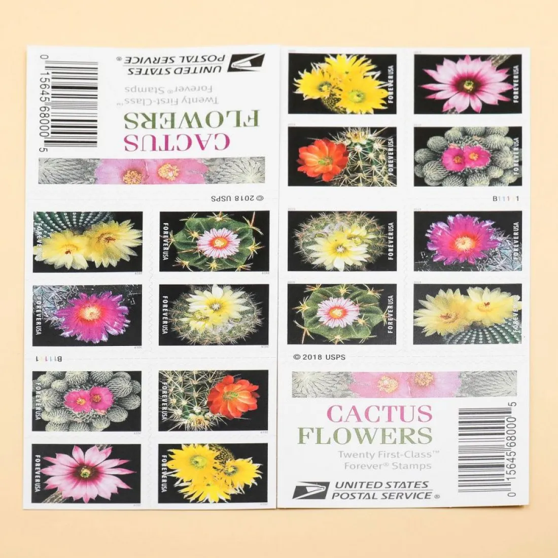 2019 Cactus Flowers Forever Stamps