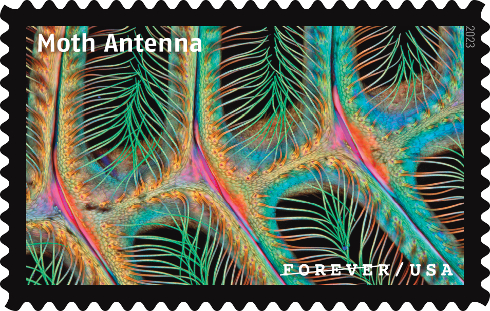 2023 Life Magnified Stamps